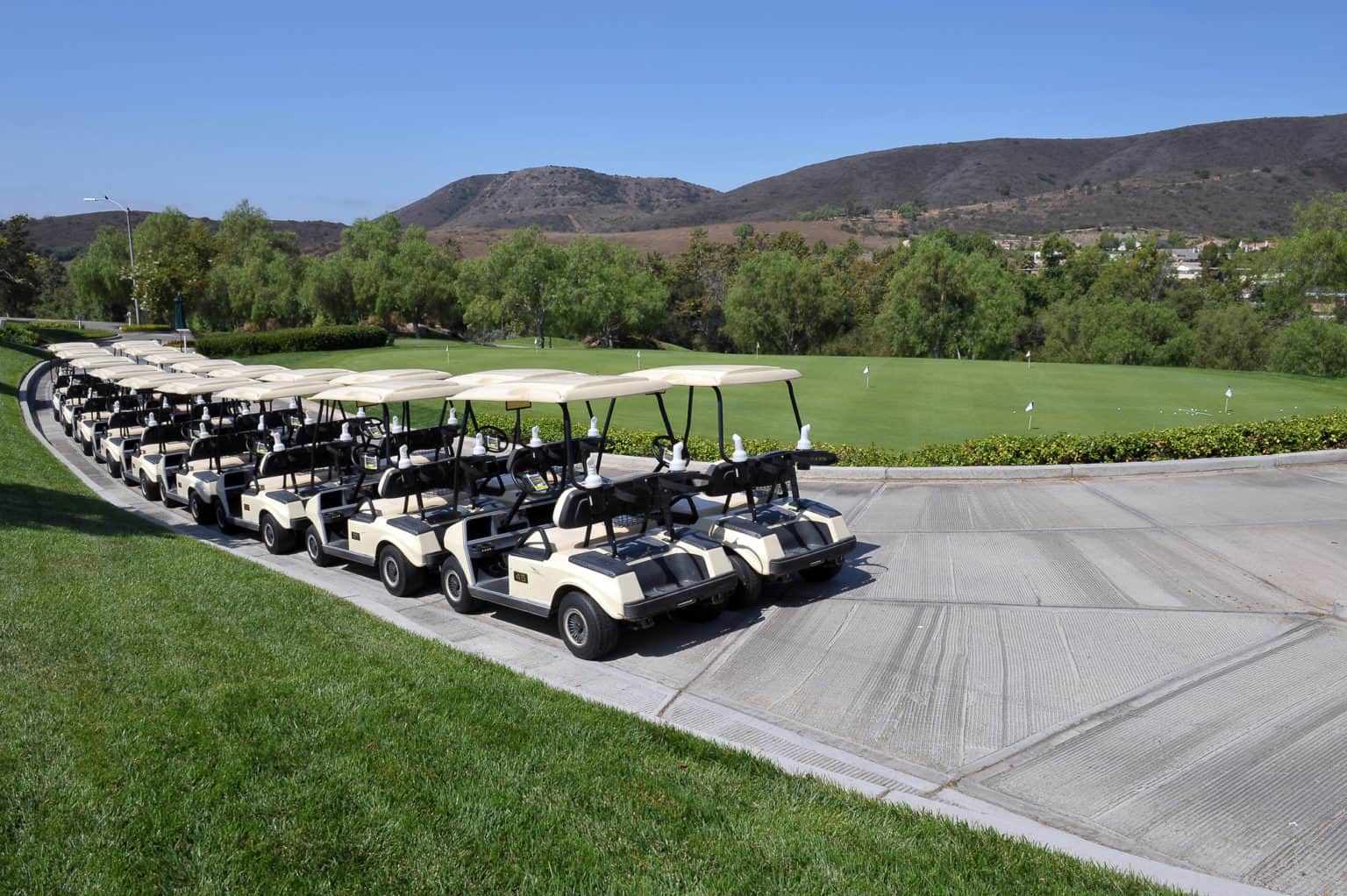 How Much Does It Cost To Rent A Golf Cart? (Everything To Know)