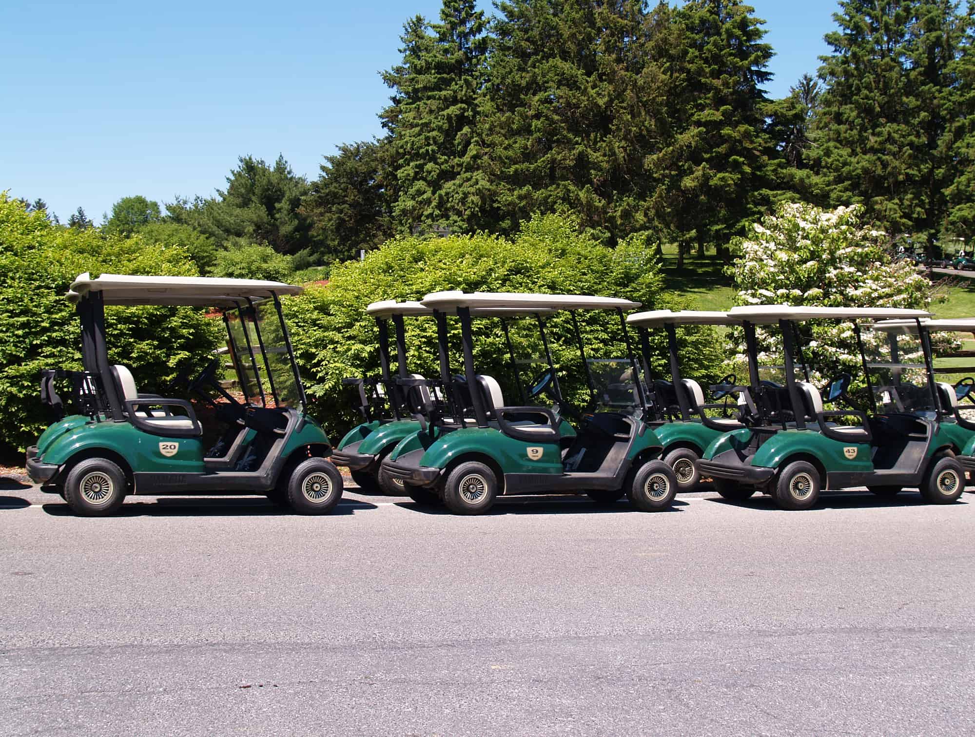 a row of empty golf carts ready for use
