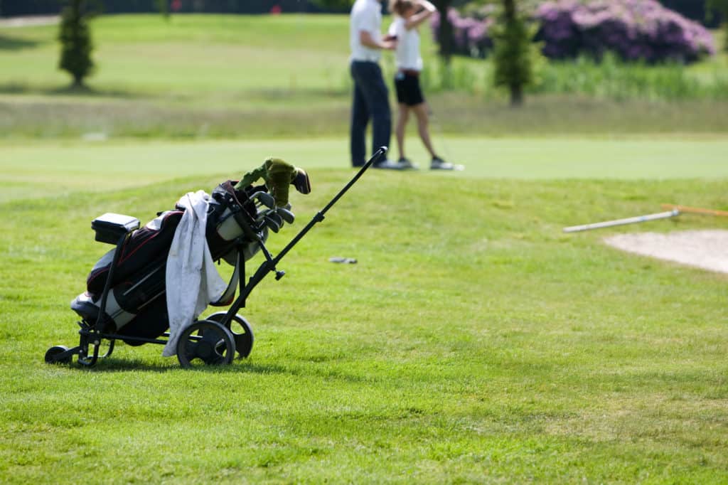 Golfbag with clubs waiting to be used.