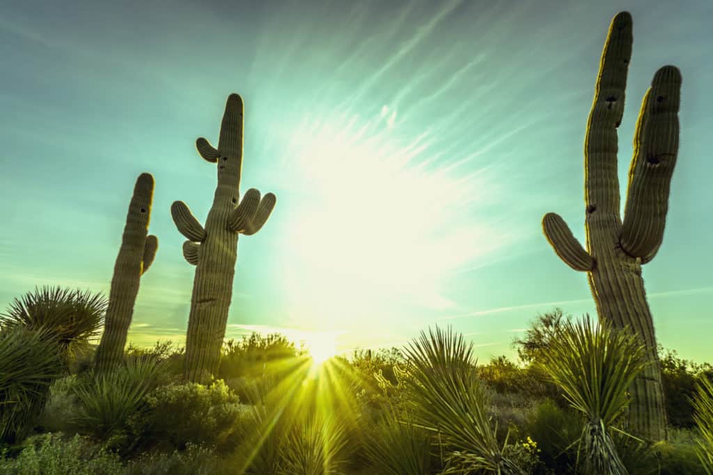 sun city arizona