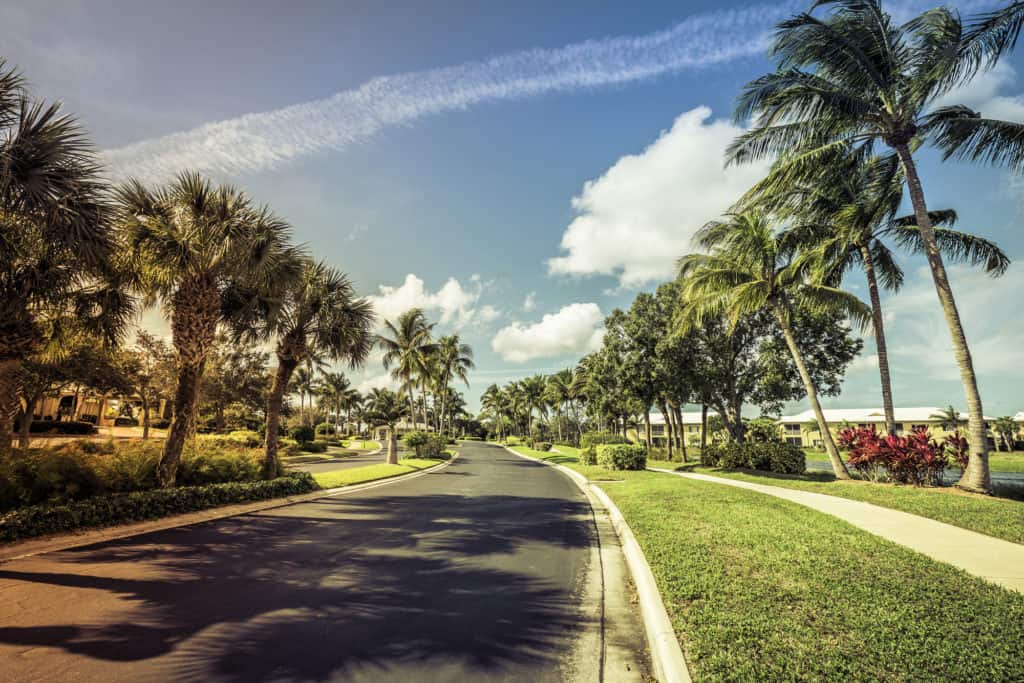 Gated community road and condominiums in South Florida