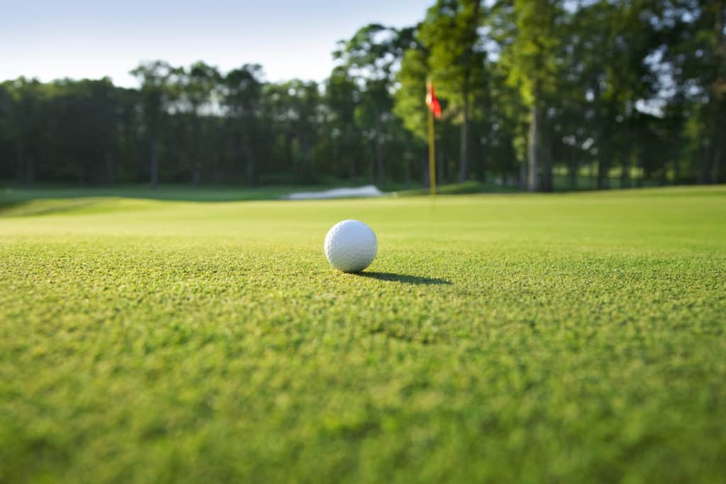 Close up of golf ball on green selective focus