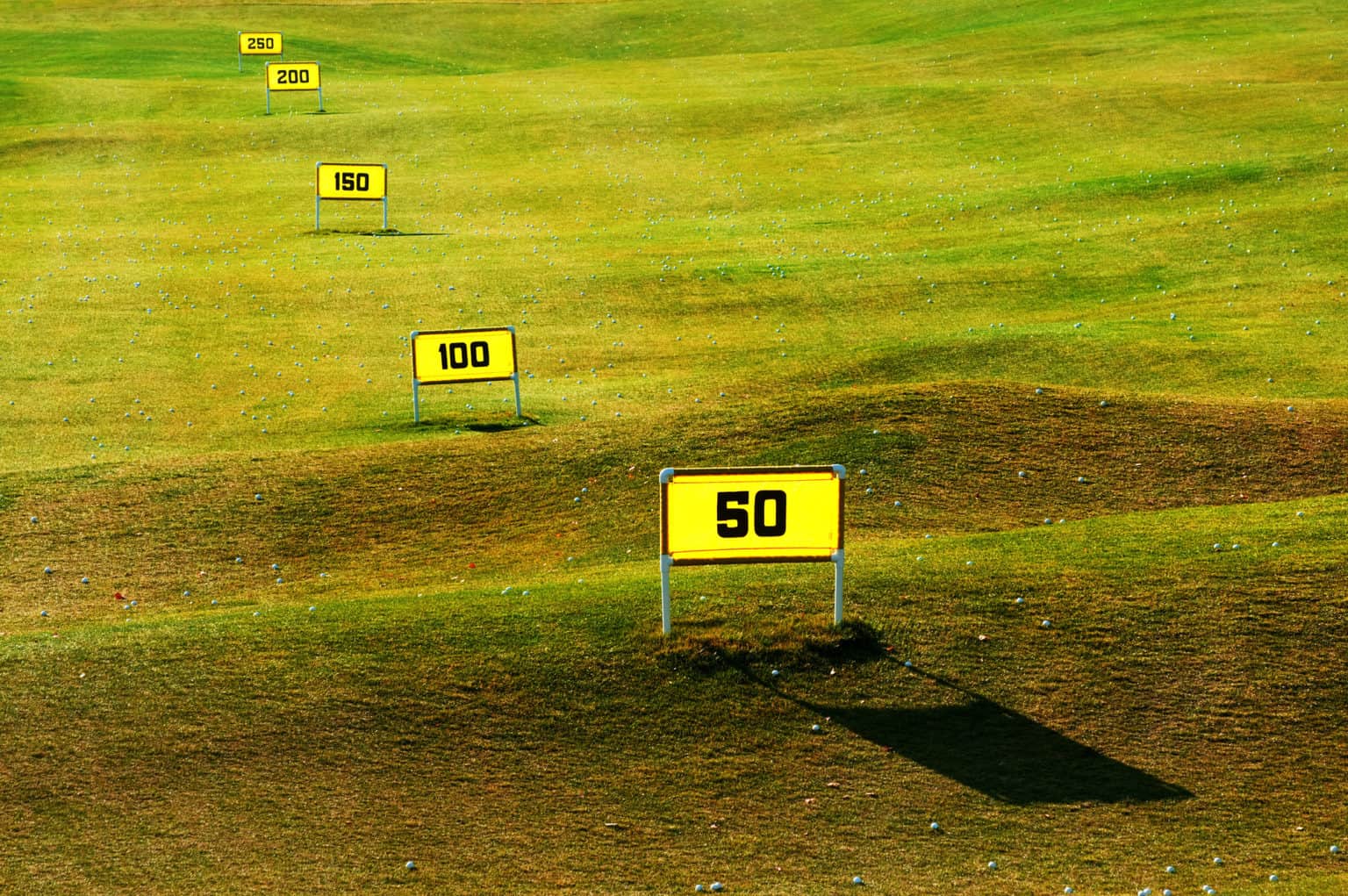 How To Start A Driving Range Business (StepByStep Guide)