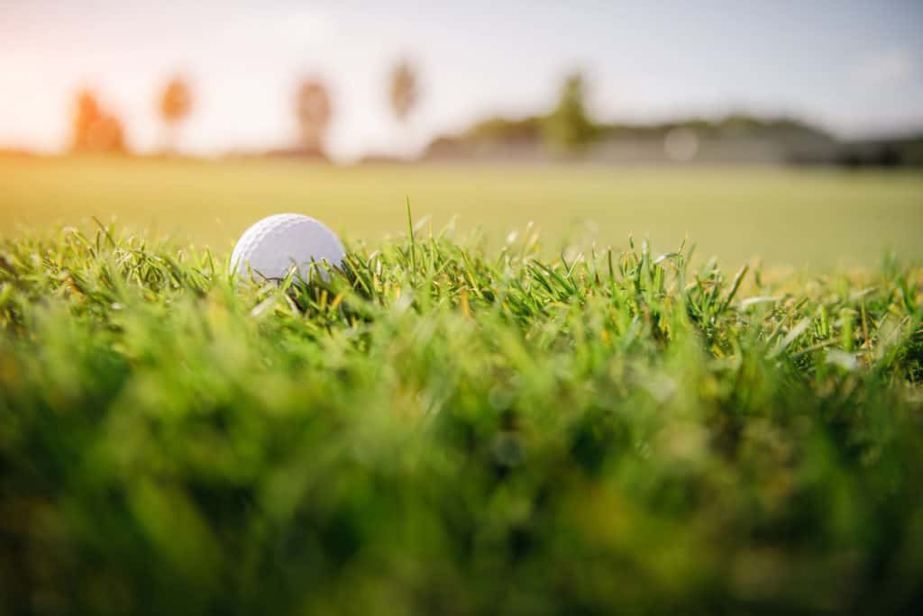 white golf ball in grass