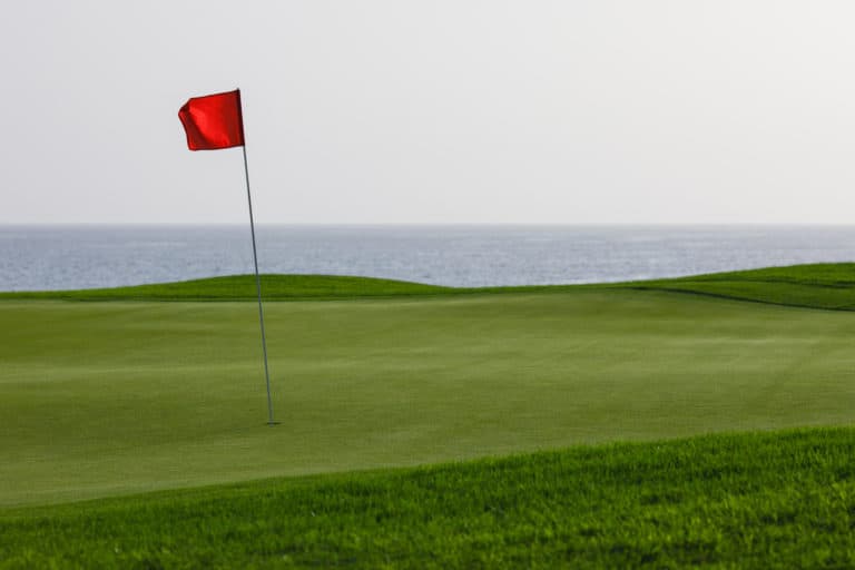 What Do Golfers Write In Their Notebooks? (5 Things)