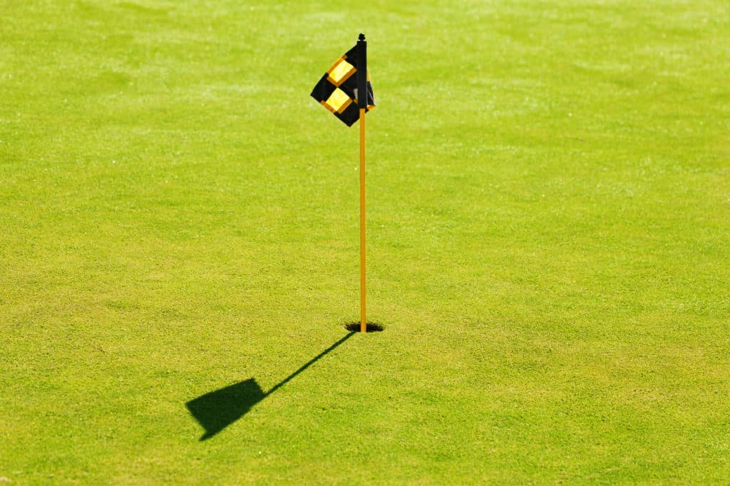 Hole and flagstick in the middle of putting green on golf course