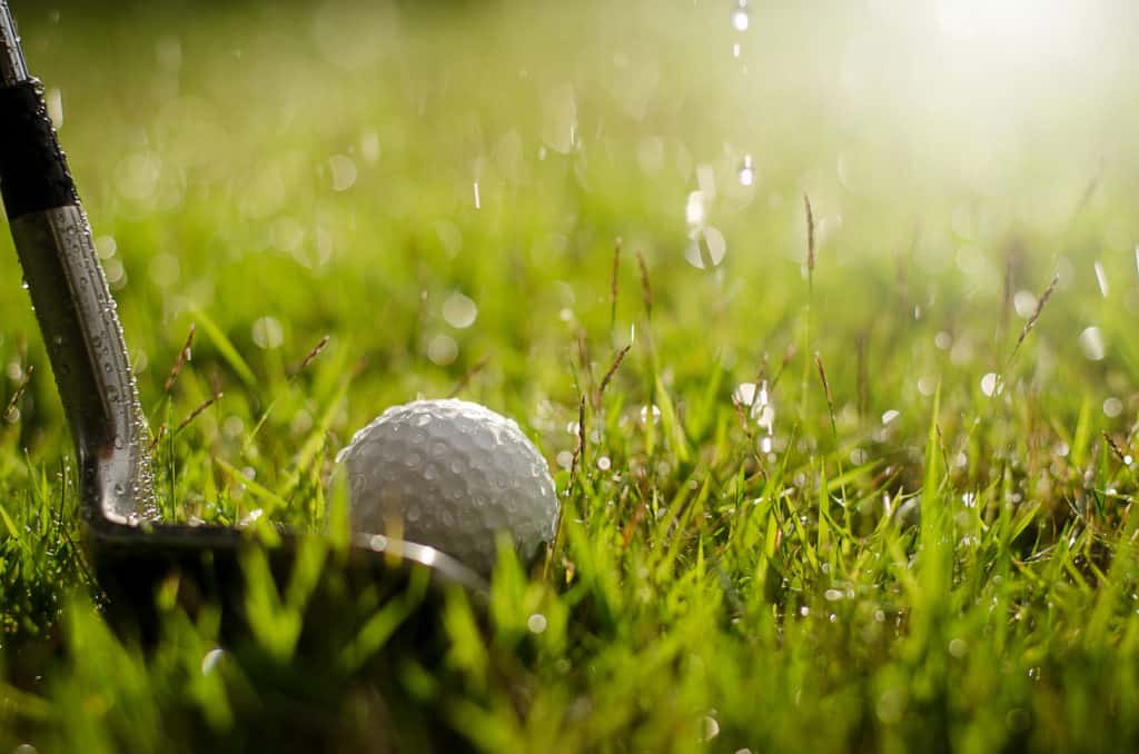 wet golf ball in grass with iron in front of it