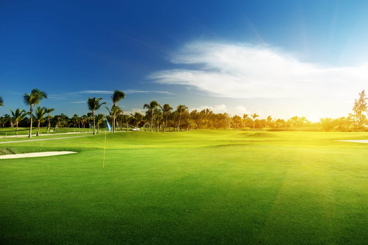 Gas Versus Electric Golf Carts, Which Is Better? Guide)