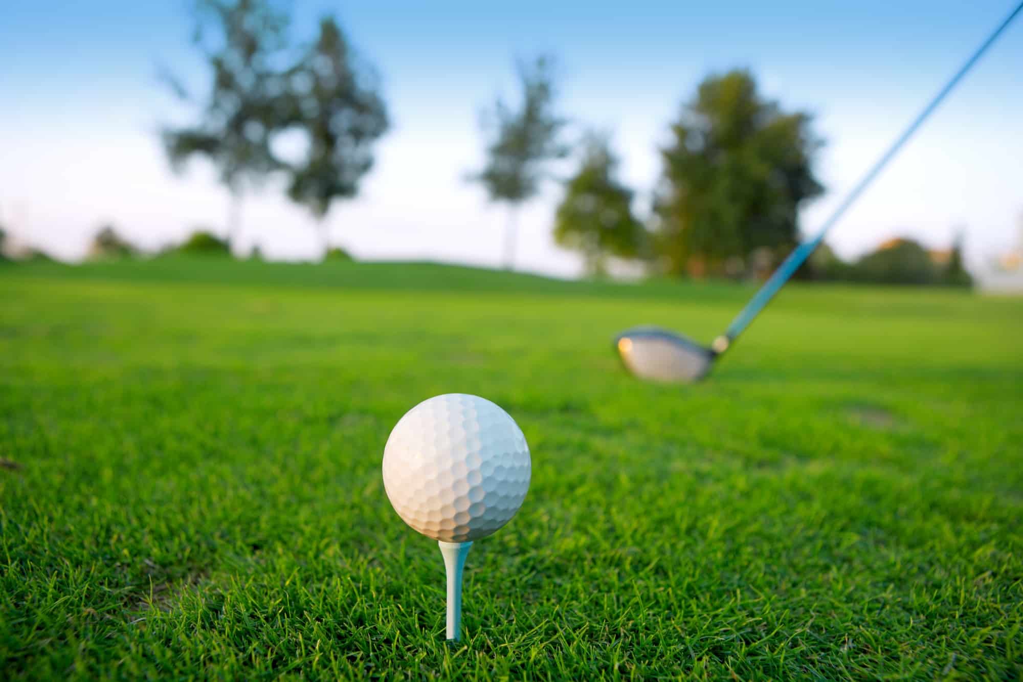 Golf tee ball club driver in green grass course horizon trees