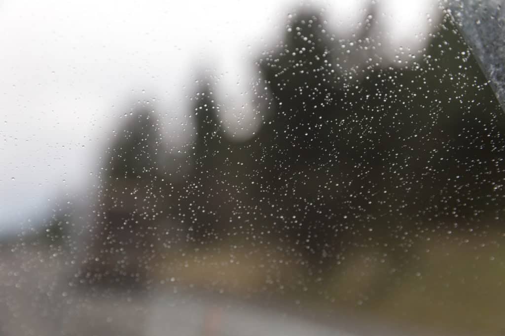 a windshield or windscreen, with blurry forest trees in the distance.