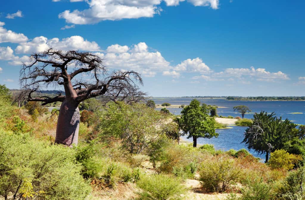 African landscape, Chobe river, Botswana