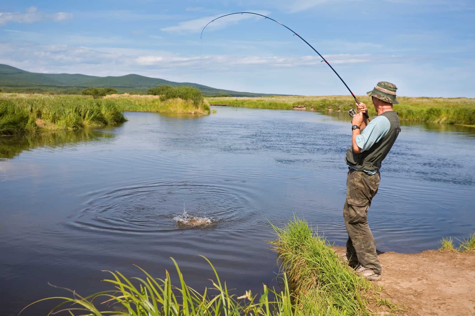 Fisherman catches of salmon