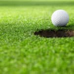 A golf ball at the hole