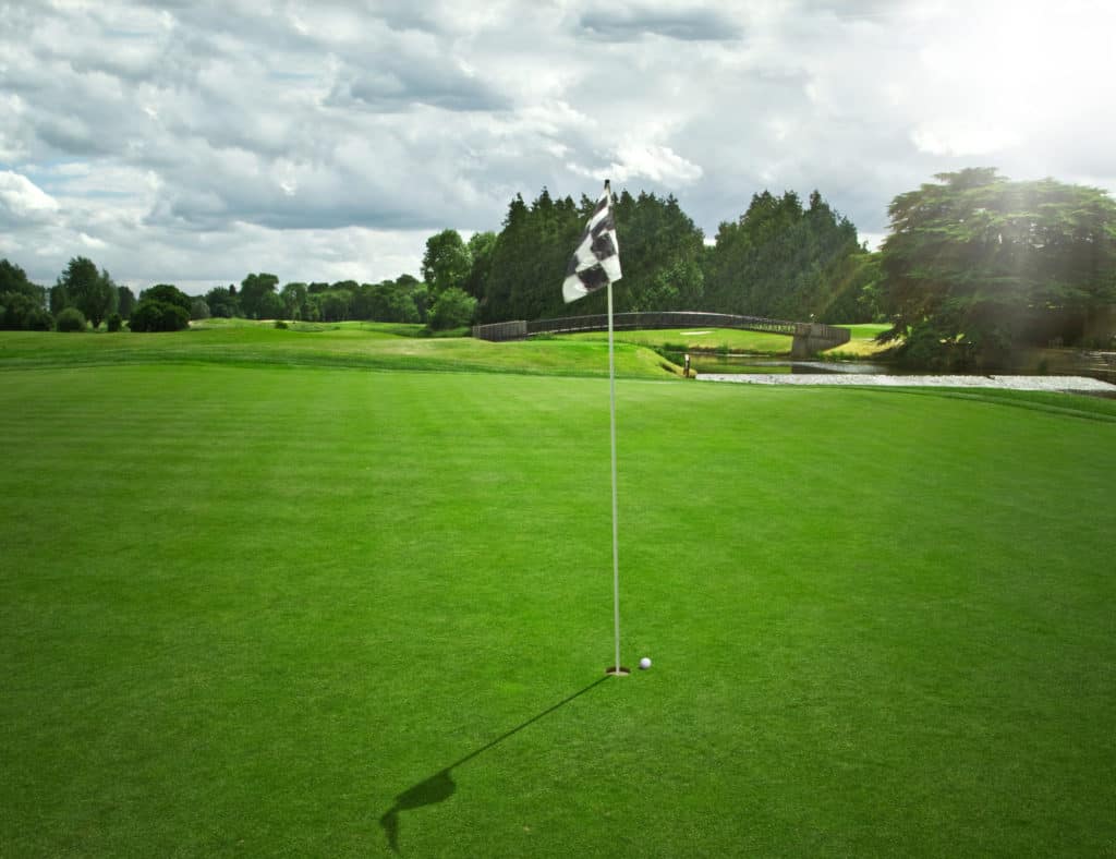 golf field view
