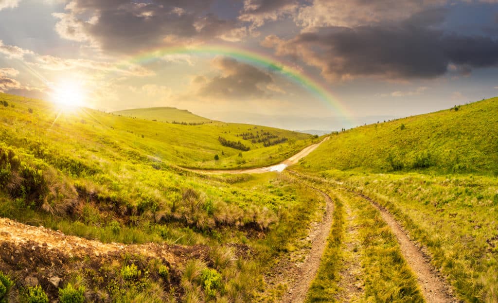 composite highland landscape. with pine forest far away near the road through hillside meadow in sunset light with rainbow