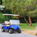 Modern buggy parked at resort