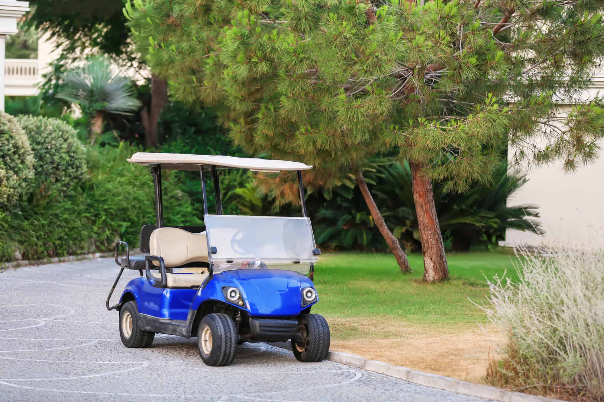 Modern buggy parked at resort