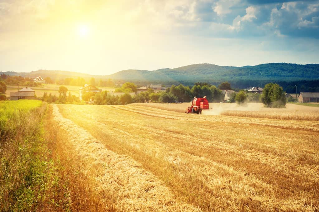 combine harvester