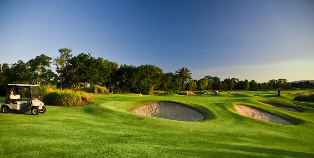 Golf Course and buggies