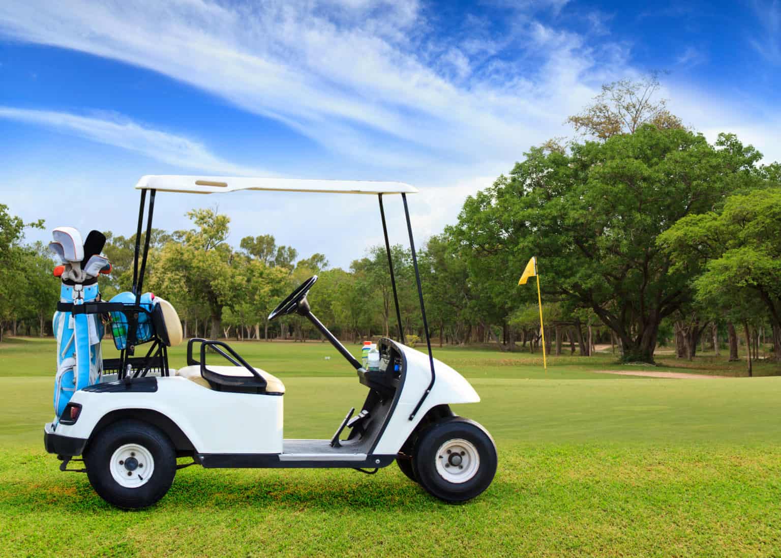 How To Store Golf Cart Batteries For The Summer (Everything To Know)