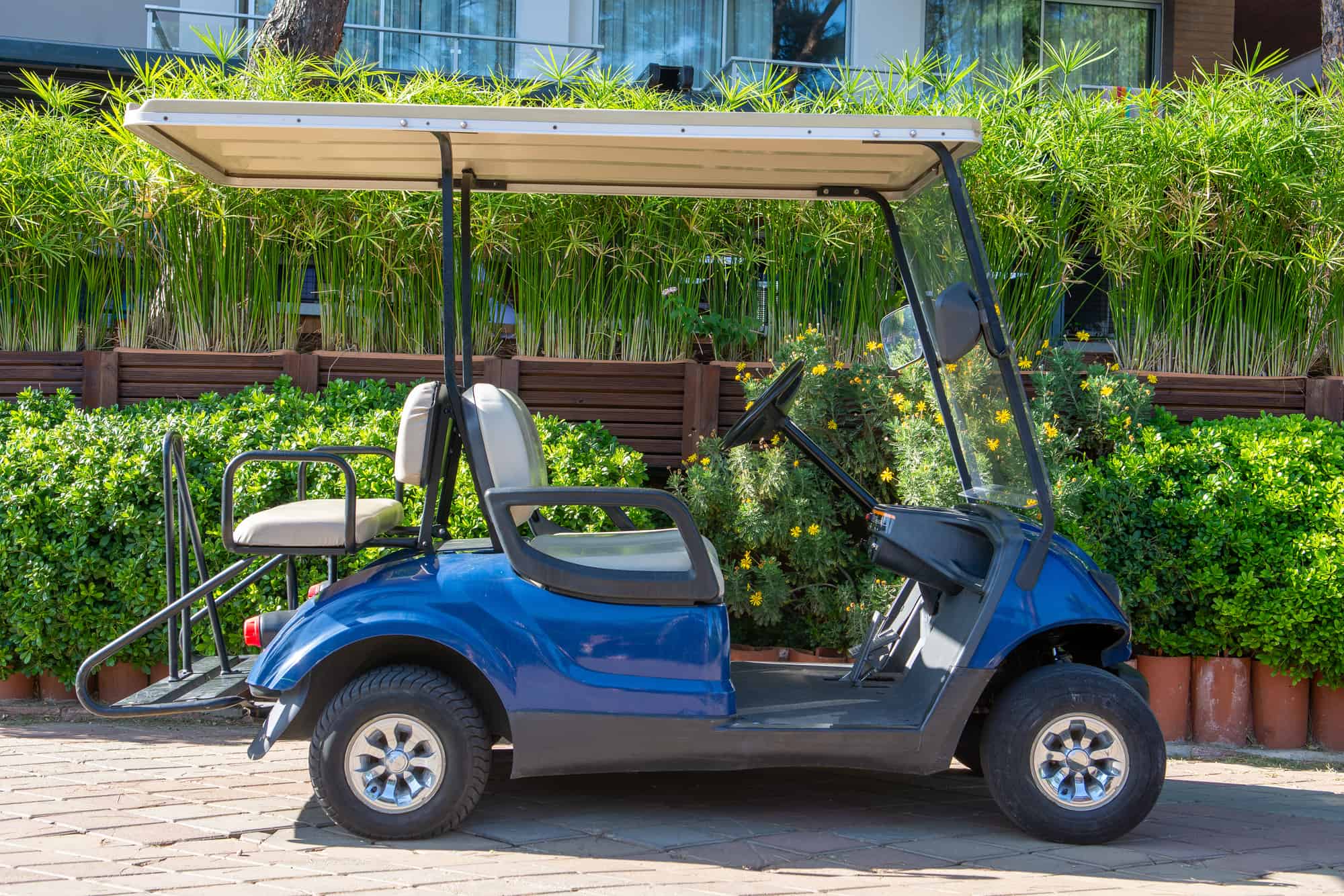 small golf electric car