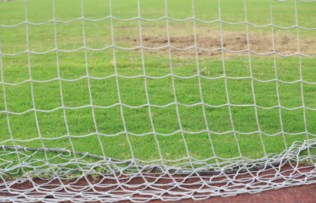 net with grass