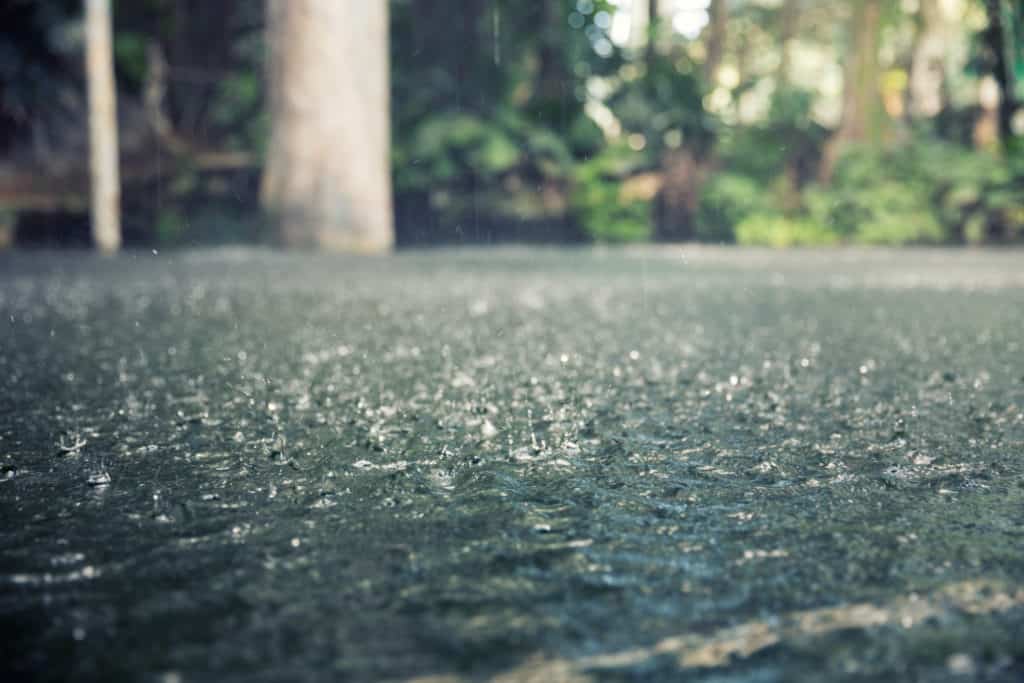 Drops of heavy rain in the tropical jungles