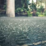 Drops of heavy rain in the tropical jungles