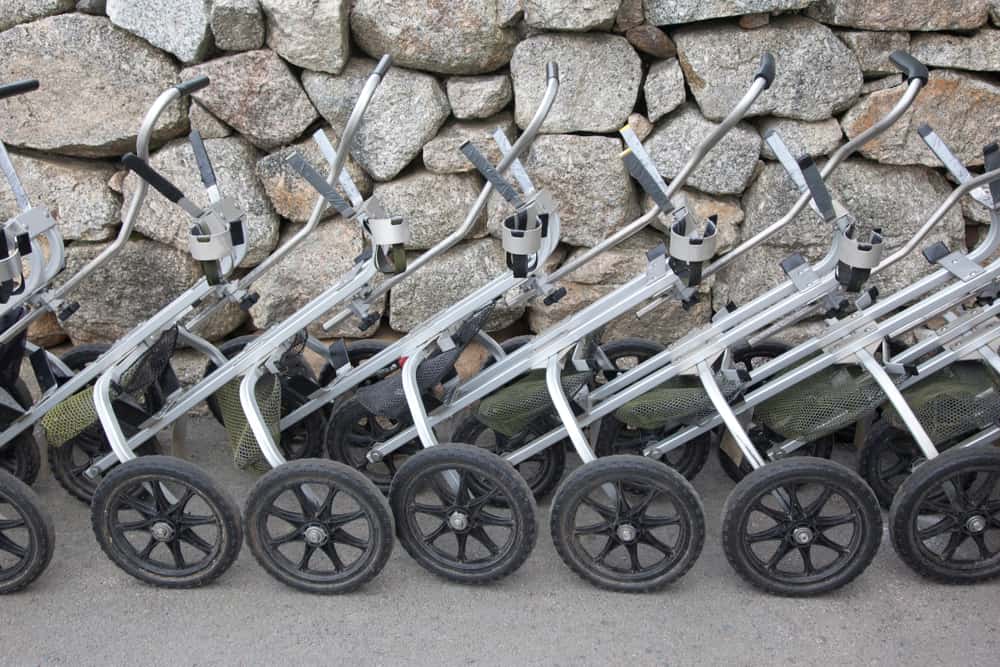 A row of metal push pull golf carts