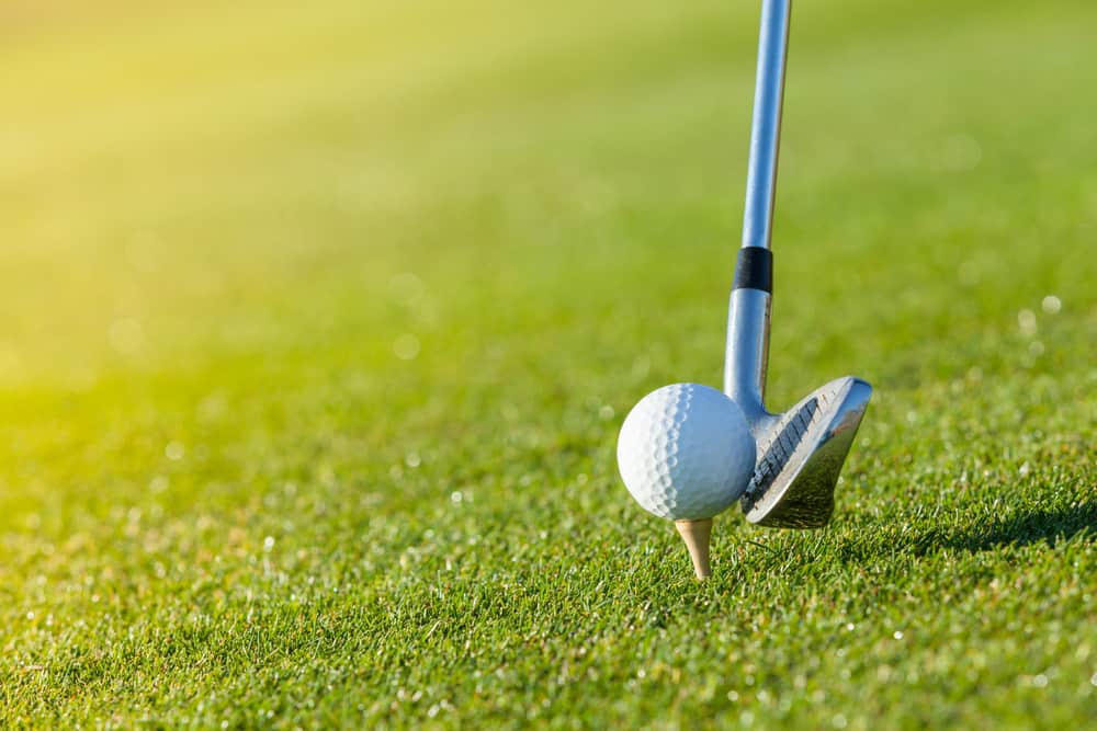 Golf club and ball in grass