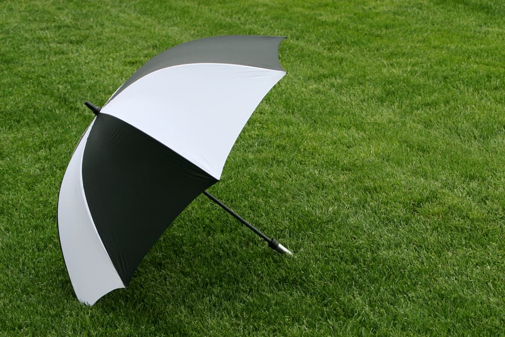 golf umbrella