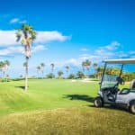 Buggy car on a golf course with palm trees