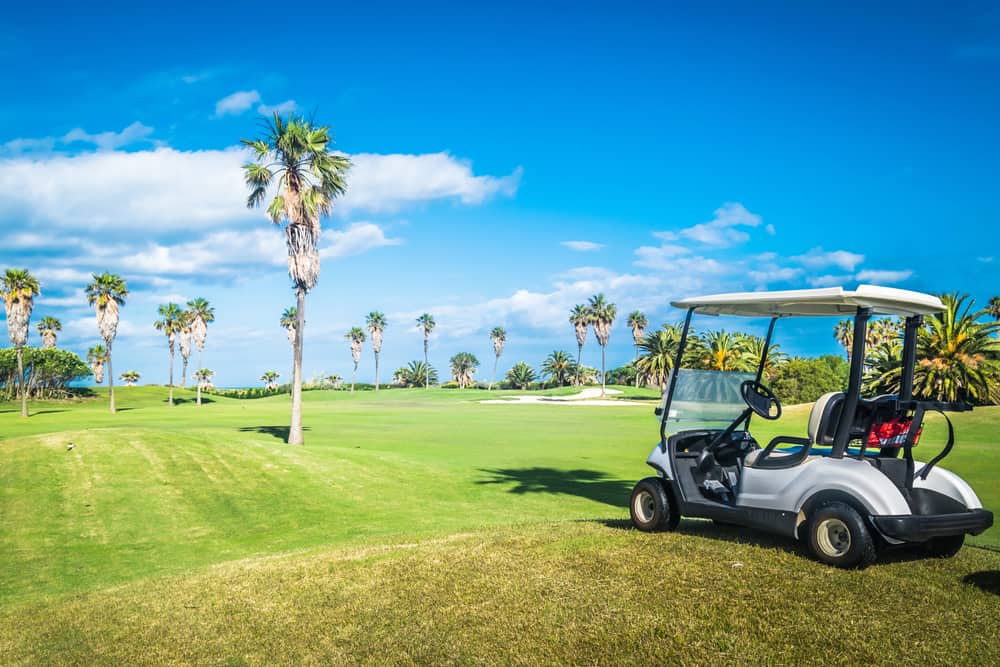 Buggy car on a golf course with palm trees