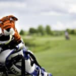 Cute tiger protection cap for golf clubs in golf bag