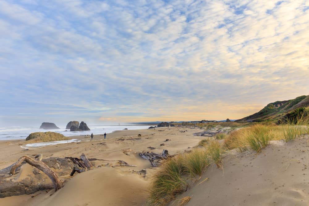 Morning on the Bandon Beach, Oregon coast, USA