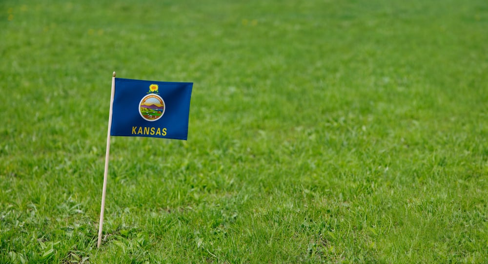 Photo of Kansas state flag on a green grass