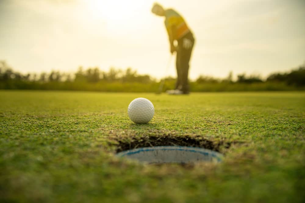 Pro Golf long putting golf ball in to the hole