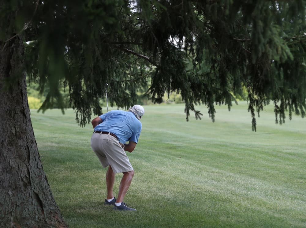 A golfer bends down to watch his shot that he tried to hit under trees