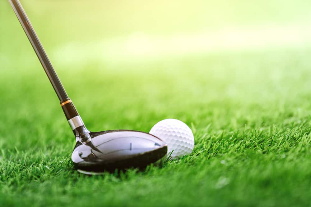 Golf club and ball on green grass