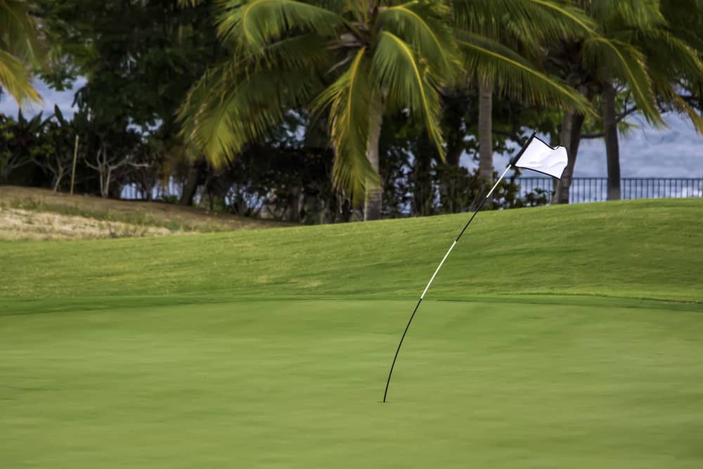 Windy Day for Golf