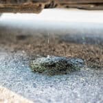 vehicle leaking