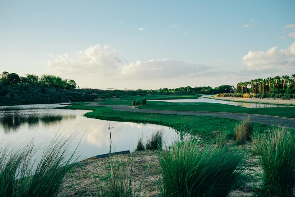 view of a golf course