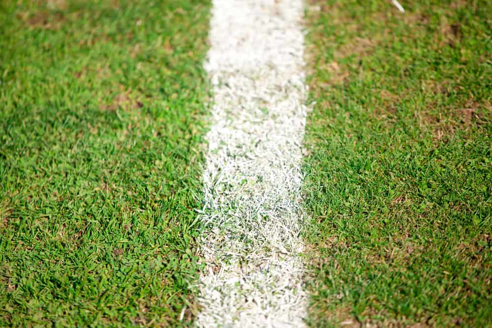 Green sports field with white line on the grass