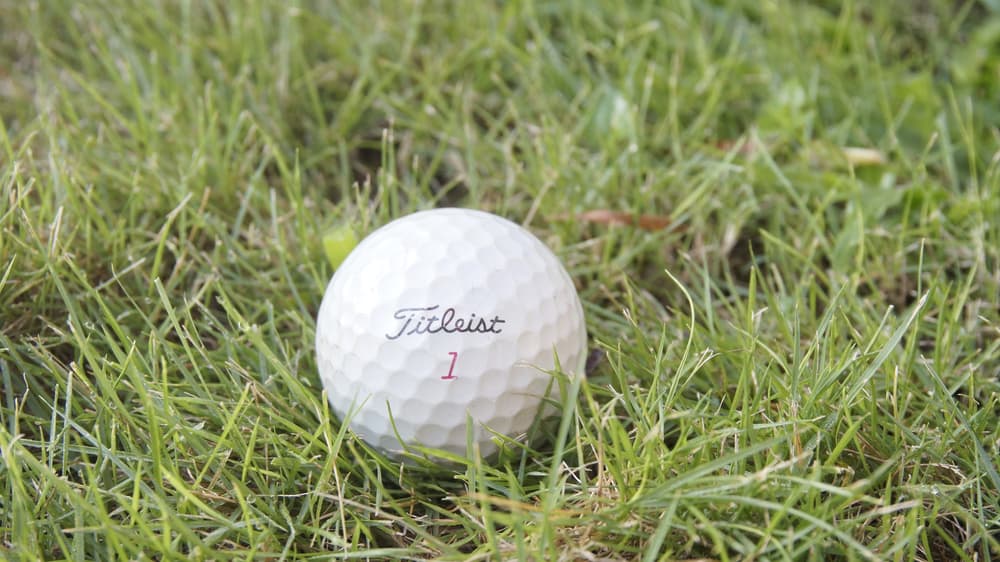 Titleist golf ball on green grass