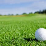golf ball on grass