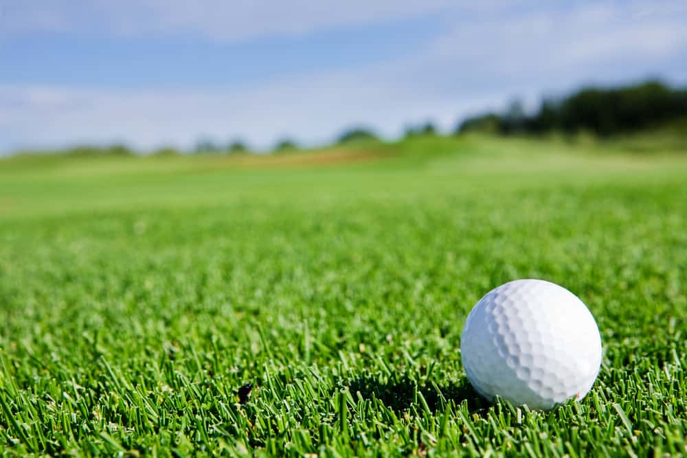 golf ball on grass