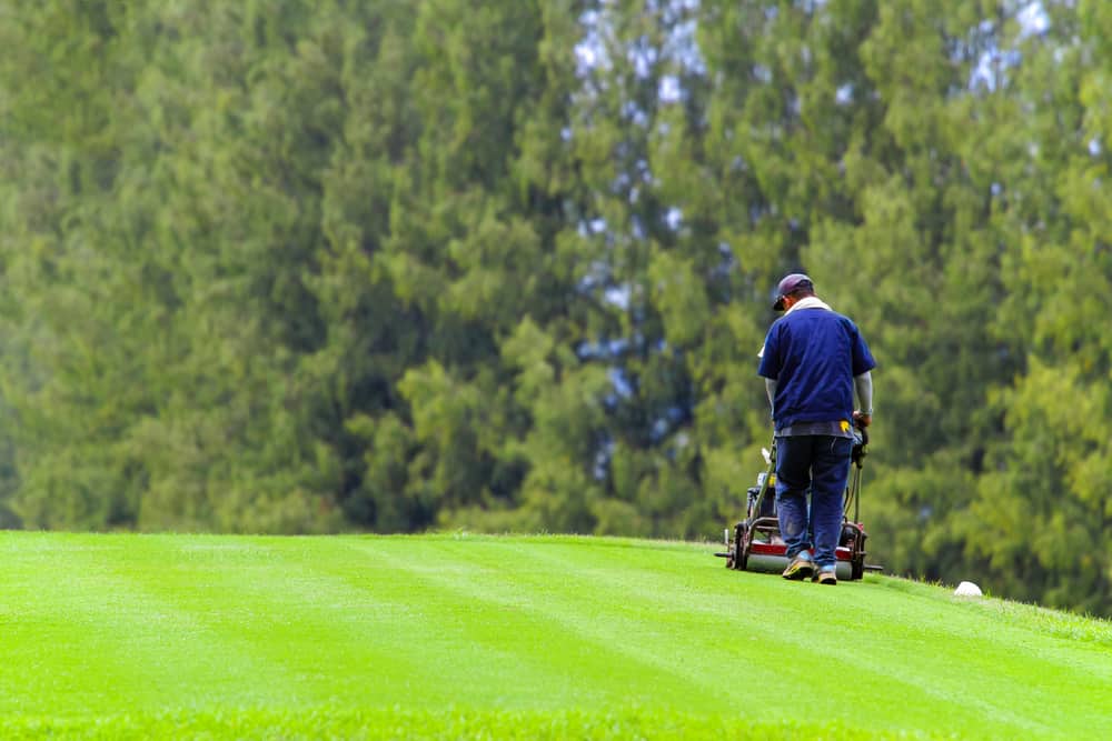 Mowing the golf course