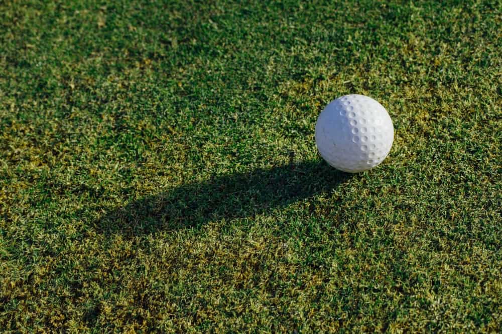 Golf ball on green grass, closeup view