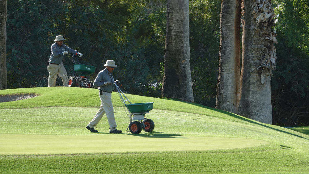 Two men apply fertilizer to the turf of a golf course