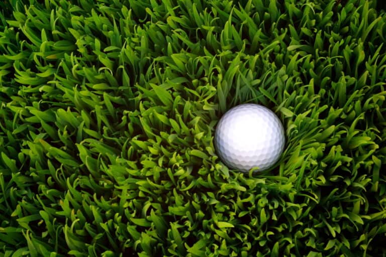 2 Hybrid Vs. 3 Wood (Which One Should You Use?)